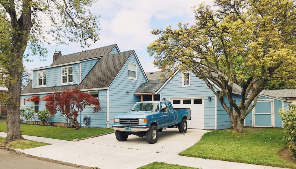 Roof Moss Removal and Treatment