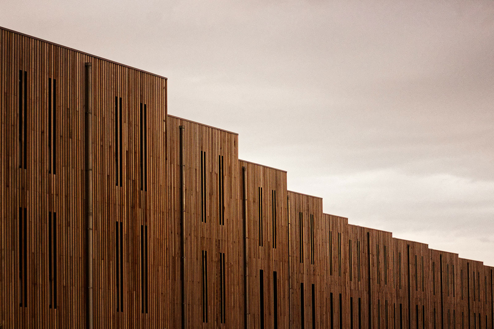 Clean wood fence