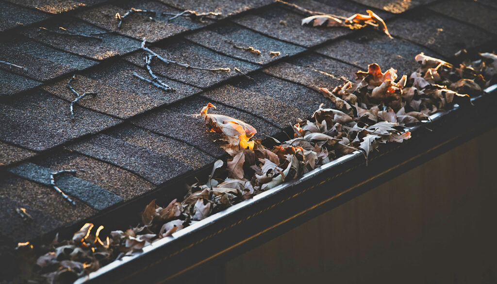 Dirty house gutter