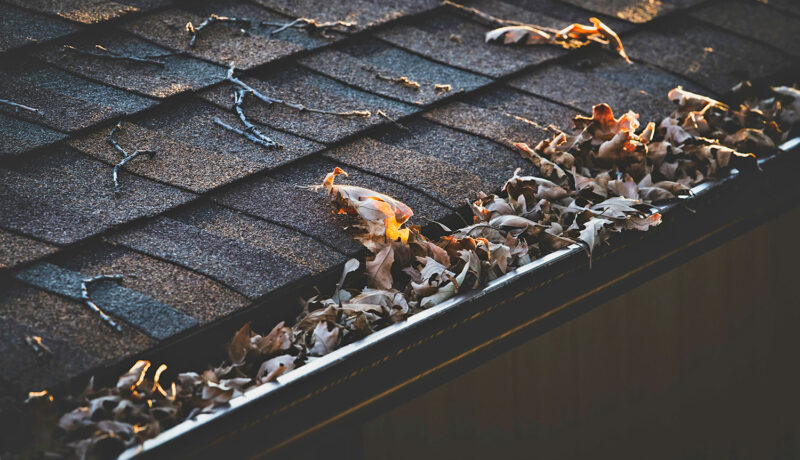 Dirty house gutter