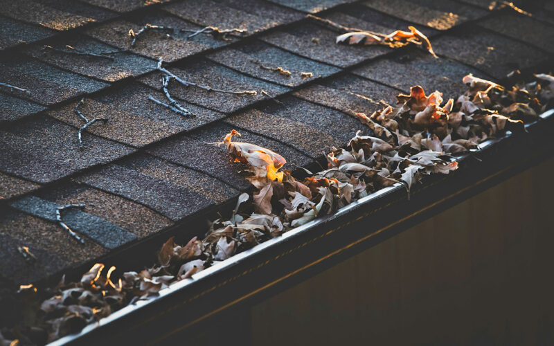 Dirty house gutter