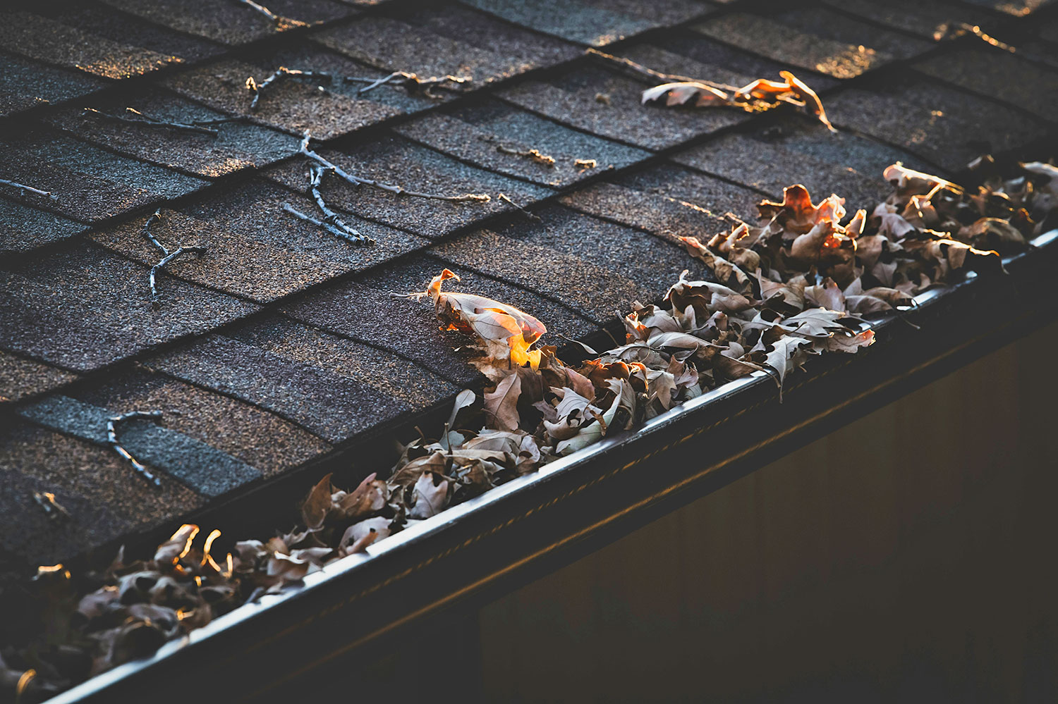 Dirty house gutter