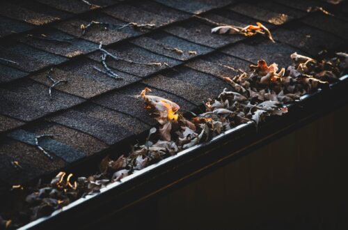 Gutter Cleaning