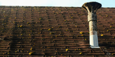 Moss on a roof with shingles