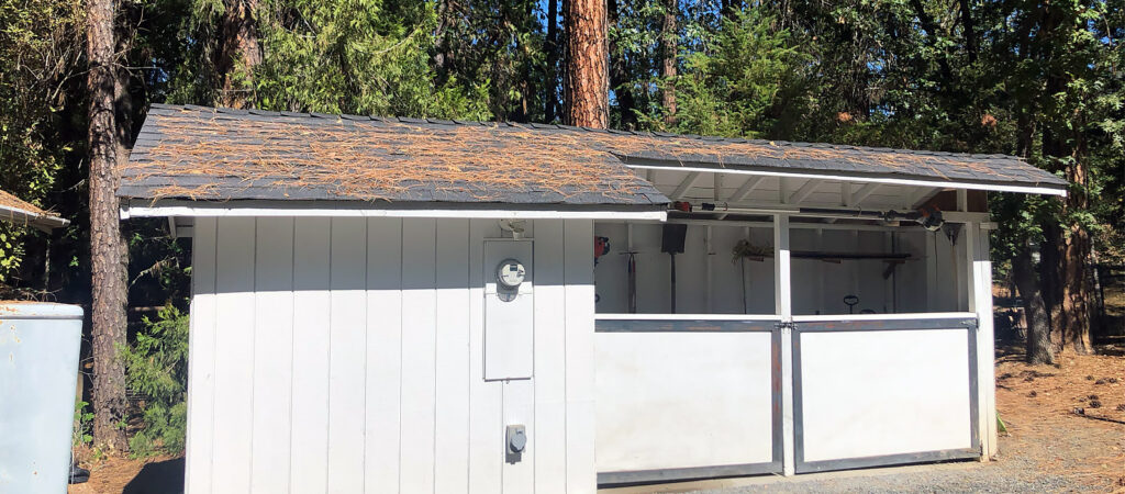 A shed with pine needles on it in Southern Oregon
