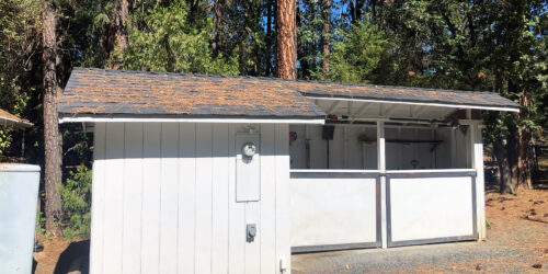 A shed with pine needles on it in Southern Oregon