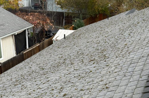 Dirt roof with moss on it in Medford, Oregon