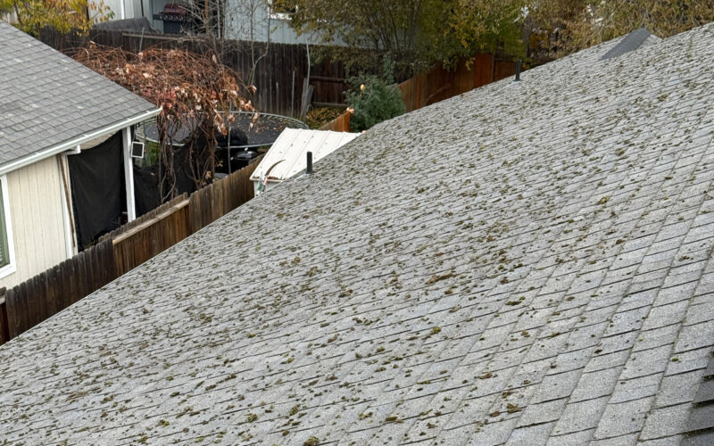 Dirt roof with moss on it in Medford, Oregon