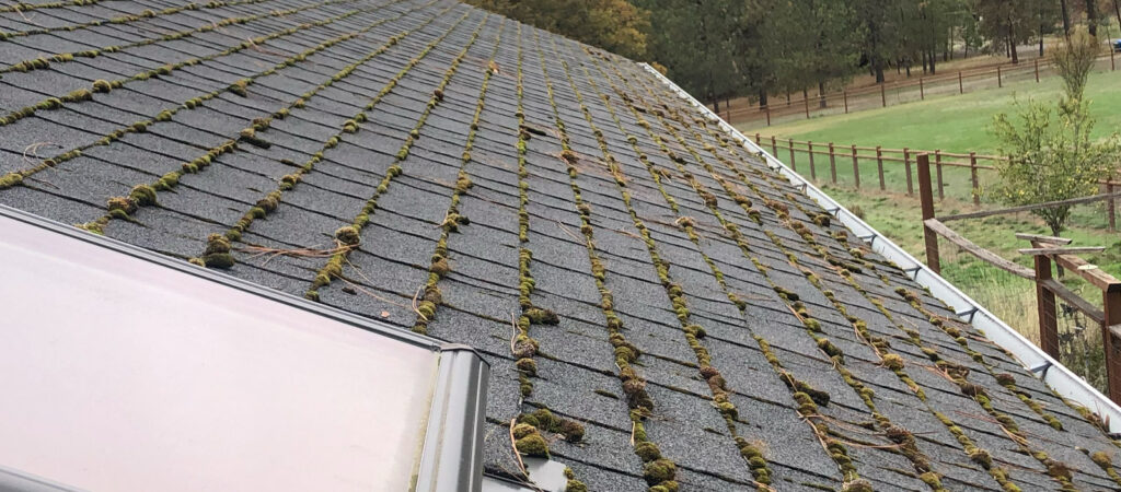 A roof in Southern Oregon with a lot of moss on it