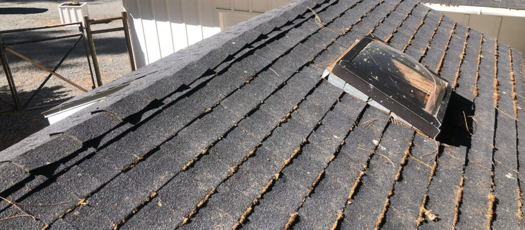 Moss growing on a shingle roof in Rogue River Oregon