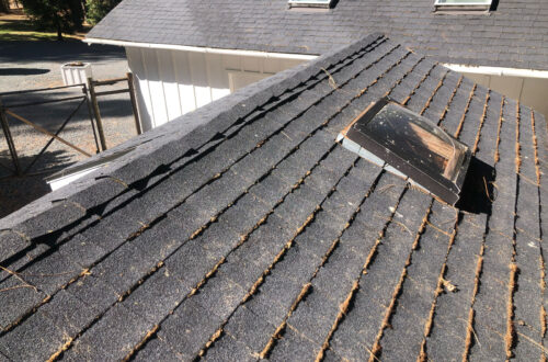 Moss growing on a shingle roof in Rogue River Oregon