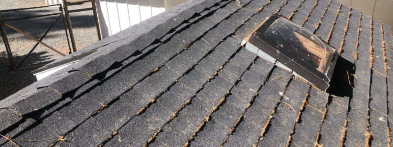 Moss growing on a shingle roof in Rogue River Oregon