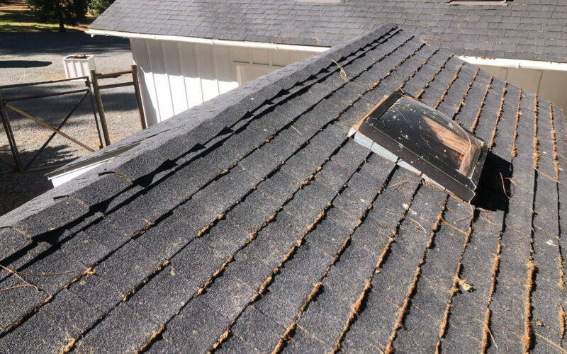 Moss growing on a shingle roof in Rogue River Oregon
