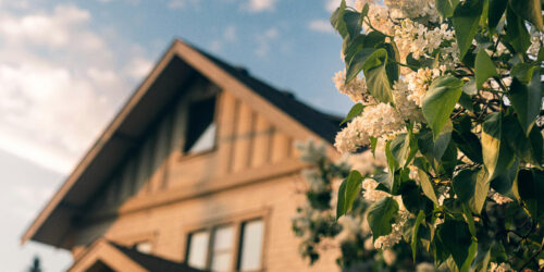 Landscaping in the foreground and a house in the background