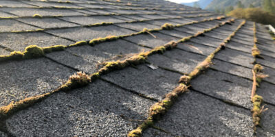 Moss growing on a southern Oregon roof with shingles