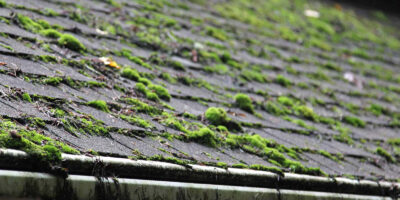 A roof that has been neglected and is growing moss