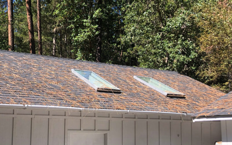 Many pine needles on a roof in Rogue River, Oregon