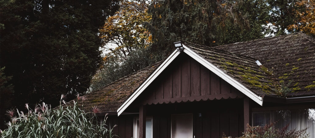 A PNW house with trees over the roof allowing moss growth