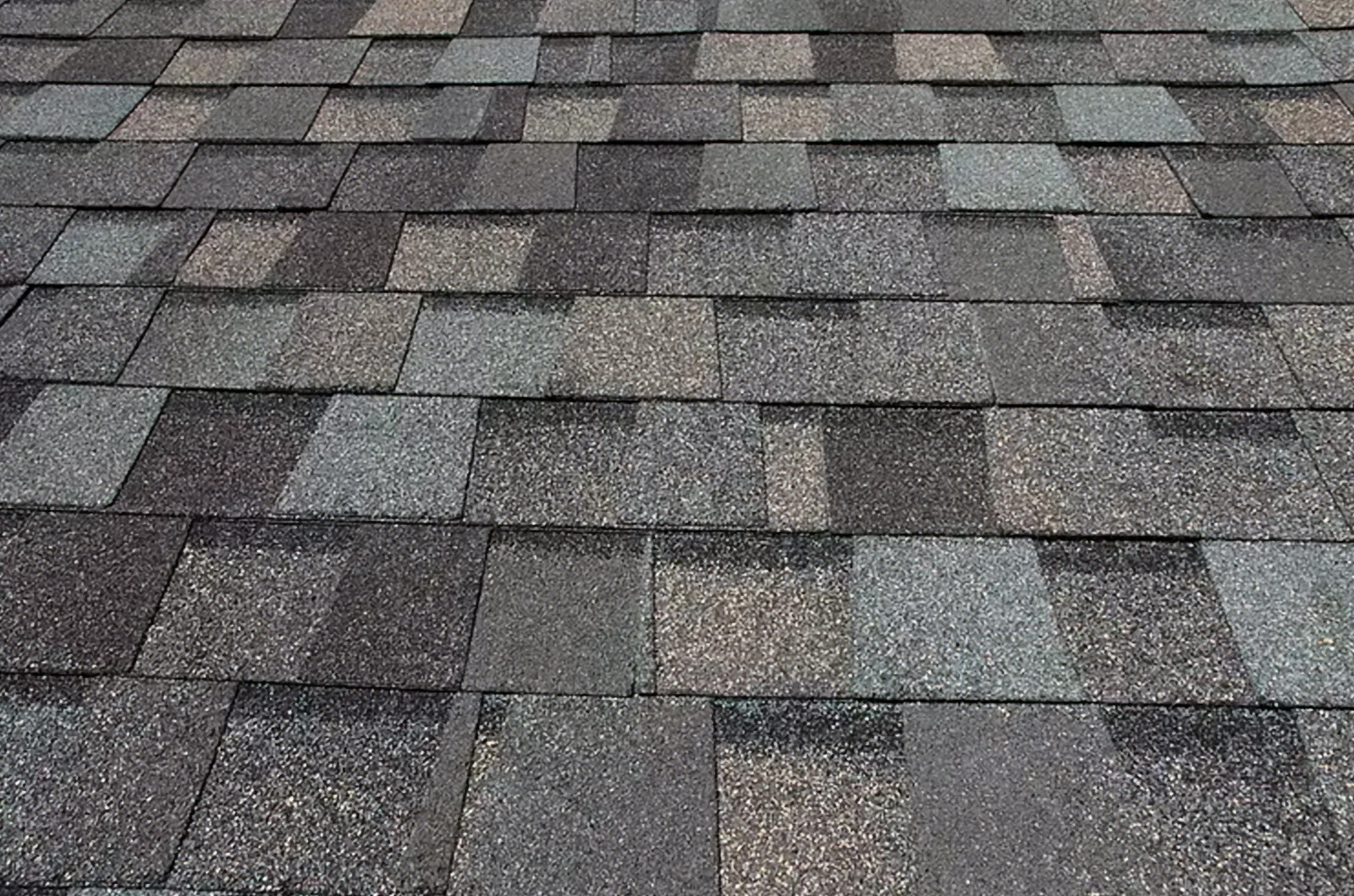 Close up of asphalt shingles on a roof