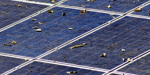 Dirty solar panels from not cleaning