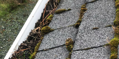 A clogged gutter and shingle roof with moss growth