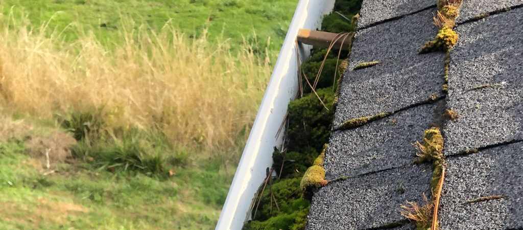 A clogged gutter that caused a roof leak
