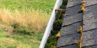 A clogged gutter that caused a roof leak