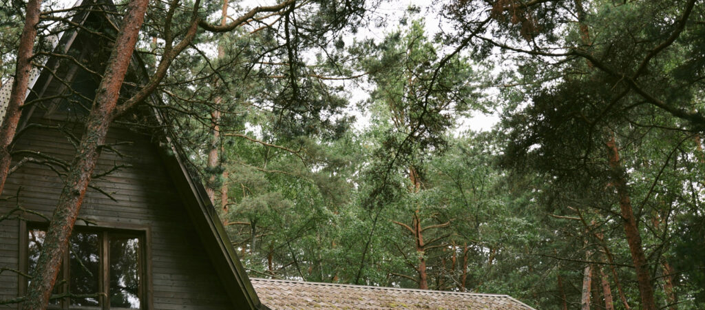 A house with lots of trees that needs gutters cleaned