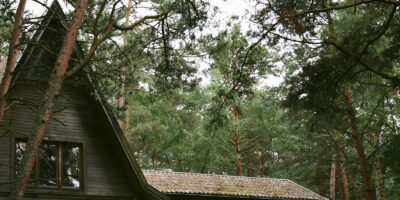 A house with lots of trees that needs gutters cleaned