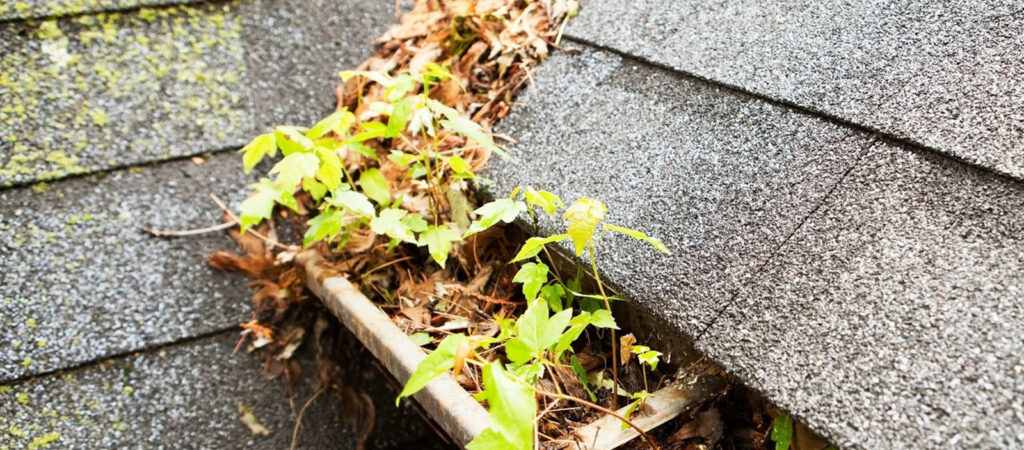 A clogged gutter problem causing roof damage