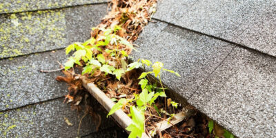 A clogged gutter problem causing roof damage