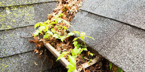 A clogged gutter problem causing roof damage