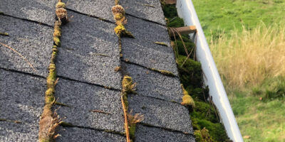 Rain gutters that have not been cleaned and are overgrown with moss