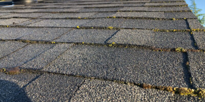 Light moss growth on a roof in Medford, Oregon