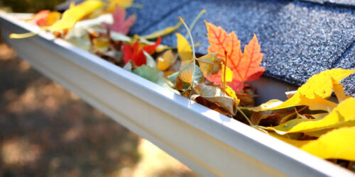 Rain gutter that needs cleaned with fall maple leafs in it