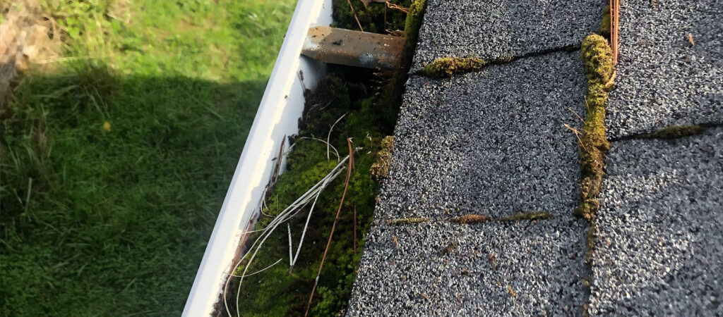 A rain gutter that is completely clogged with roof moss