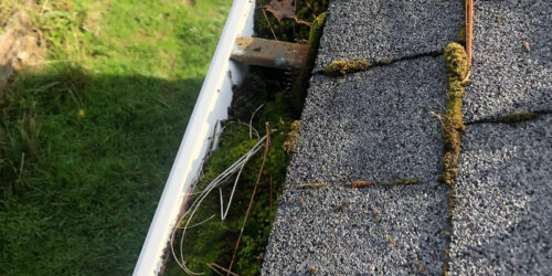 A rain gutter that is completely clogged with roof moss