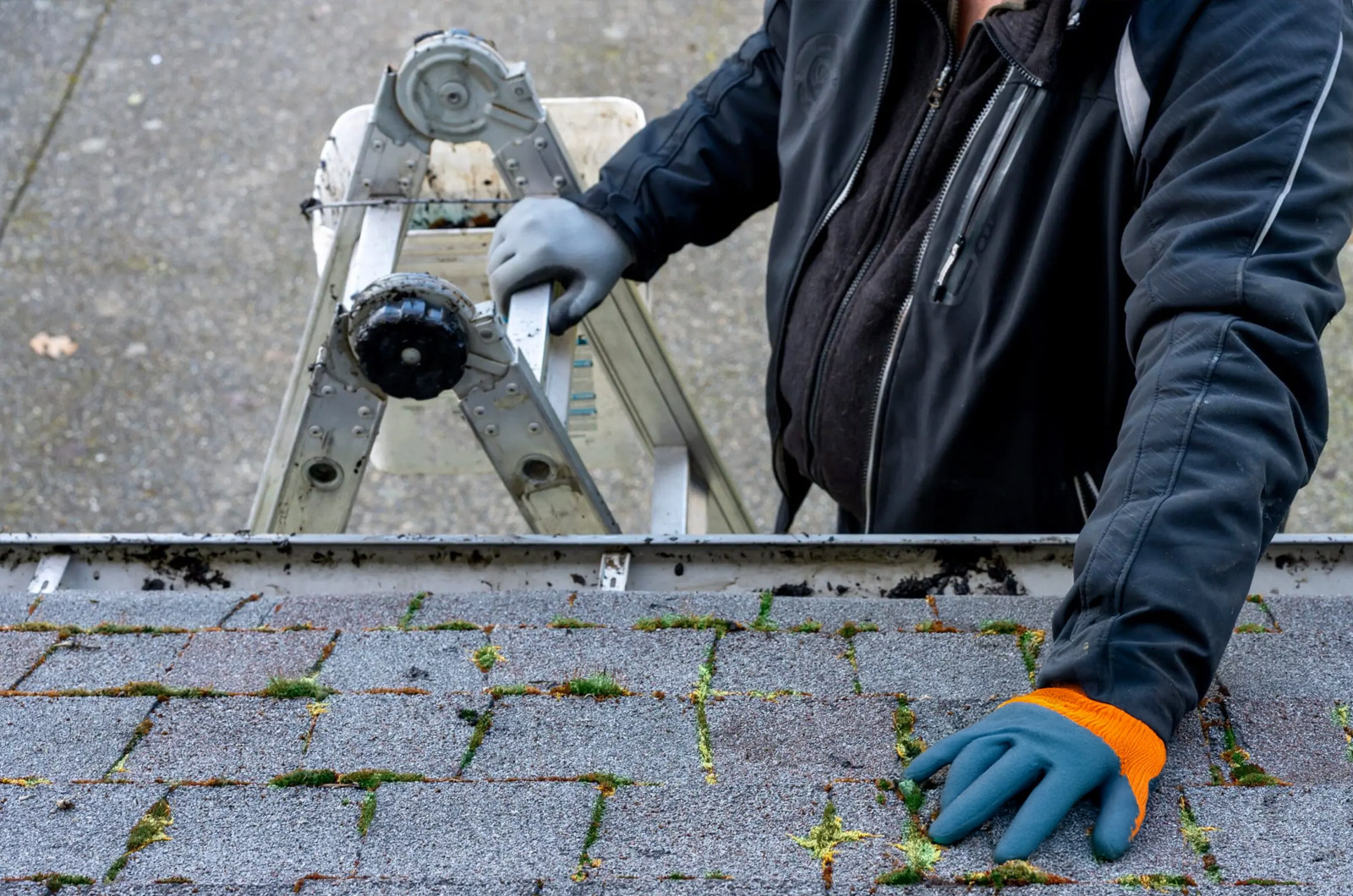Man standing on a ladder doing roof maintenance