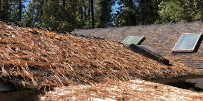 A roof in southern Oregon that needs cleaned to remove many pine needles