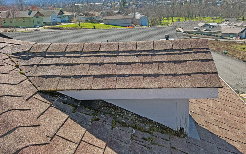 Moss on the roof of an Ashland Oregon house