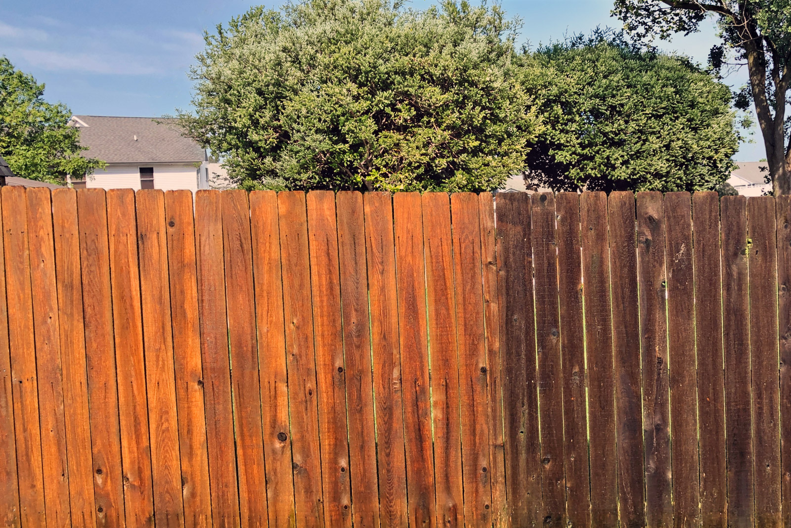 A cedar fence in Southern Oregon with half of it washed and half dirty