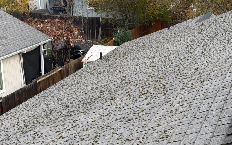 A roof in Medford, Oregon before moss removal