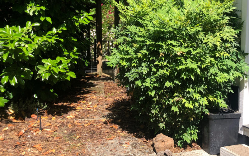 Before pressure washing concrete steps in Southern Oregon