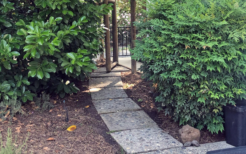 After pressure washing concrete steps in Southern Oregon