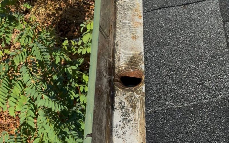 Clean gutters on Rogue River house