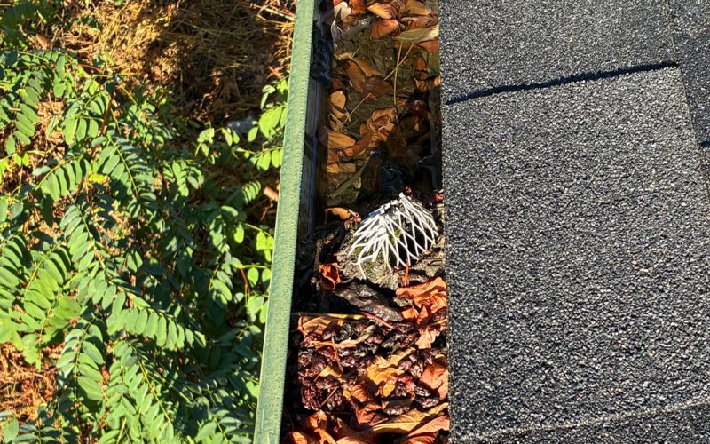 Clogged gutters on a Rogue River house